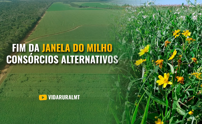 FIM DA JANELA IDEAL ABRE POSSIBILIDADE PARA CONSÓRCIOS